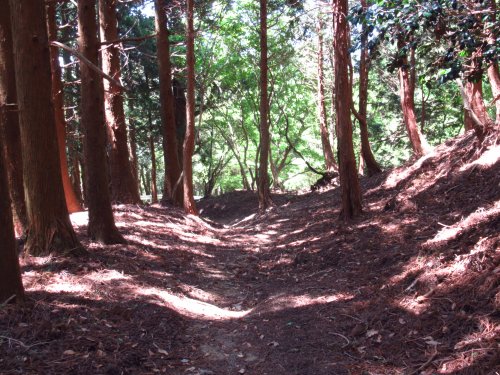 登山道